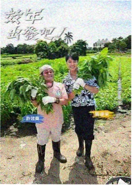 观测手记配图 斜体标题