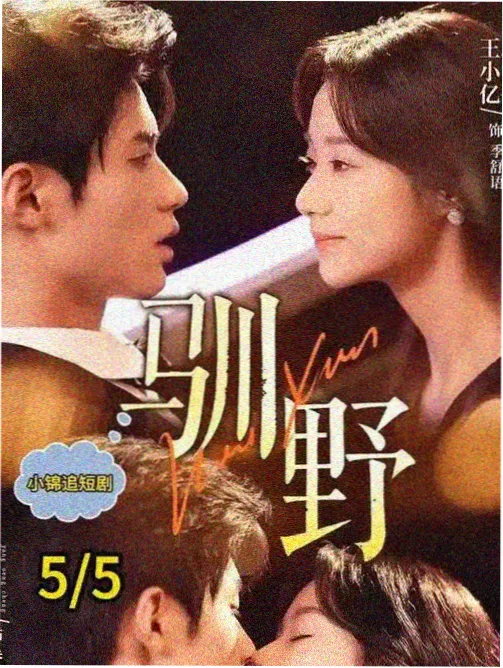 观测日志配图 阅读节奏指南
